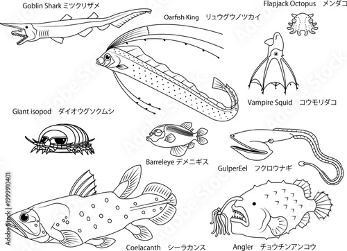 塗り絵にもなる、人気の深海魚の主線のみのイラストセット