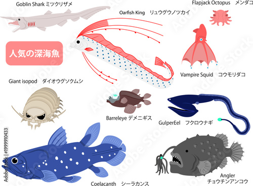 人気の深海魚たちの主線無しのイラストセット
