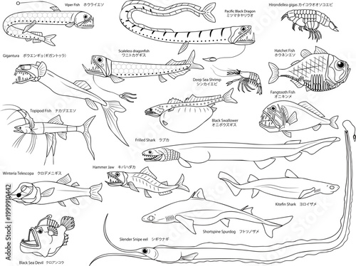 塗り絵にもなる、沢山の主線のみの深海魚のイラストセット