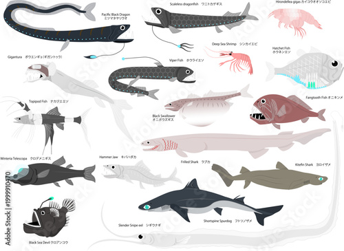沢山の主線無しの深海魚のイラストセット