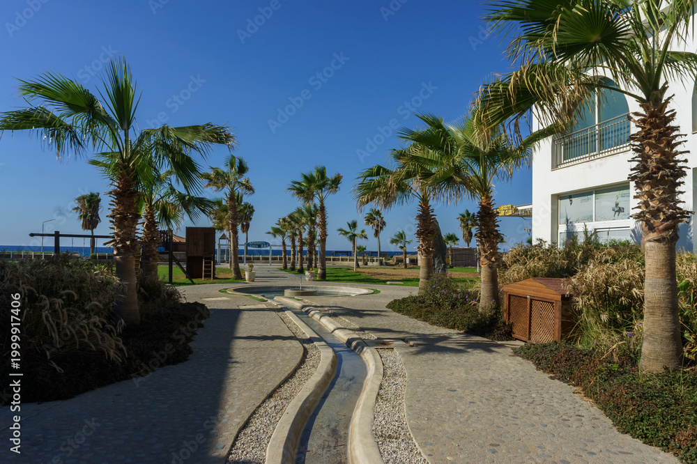 Fototapeta premium A tranquil walkway lined with palm trees leading to the beach under a clear blue sky.