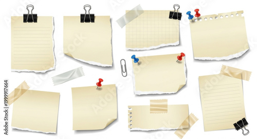 Collection of Torn Paper Notes and Clips.