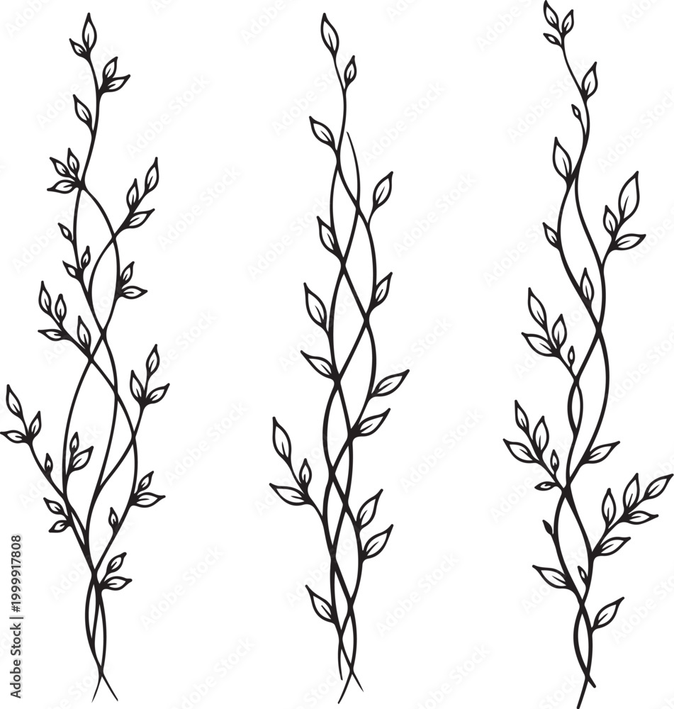 Fototapeta premium Botanical vine illustrations, leafy branch designs, black line art, floral elements, vector graphics