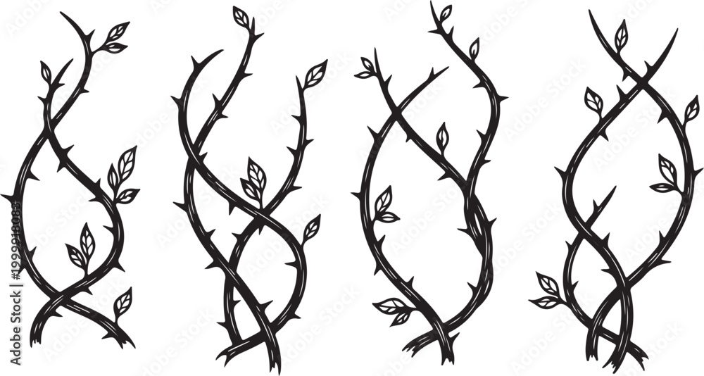 Fototapeta premium Thorn branch, twig, leafy vine vector illustrations, black line art, botanical elements, 3 designs