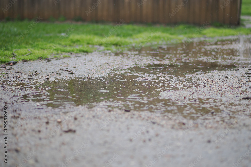 Fototapeta premium Rain creates puddles on the ground in a grassy area