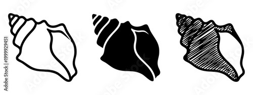 Whelk sea shell icon set, marine nature symbols for beach and summer themes