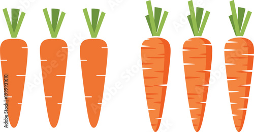 Carrot flat illustration set with simple and textured styles, fresh organic vegetable collection featuring minimal root food icons isolated on white background