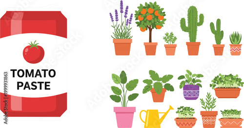 Tomato paste packaging label with potted plants collection, colorful home gardening illustration set featuring herbs cactus and indoor plants in pots