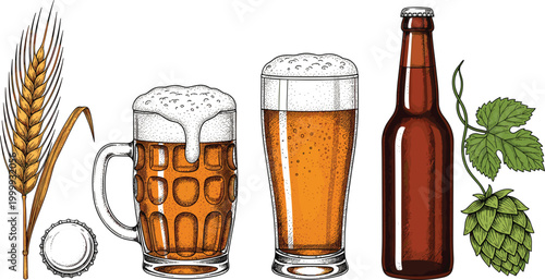 Beer brewing ingredients and drinks set with barley hops bottle and glasses, hand drawn vector illustration featuring lager mug pint and brewery elements