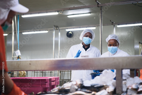 Two African American factory supervisors discuss and examine quality control, inspect and monitor fish chopping, and food production process in chilled, sterile warehouse, for logistics distribution.