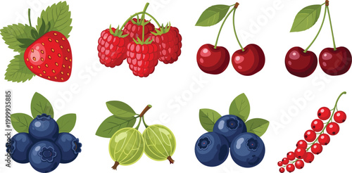 Detailed berry vector set featuring realistic strawberries raspberries cherries blueberries gooseberries and red currants with leaves.
