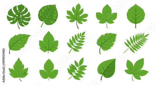 Set of diverse green leaf vector illustration, various shapes and styles for nature and botanical design element