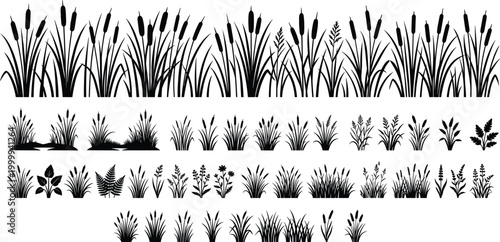 Grass reed silhouette set, cattail meadow plant collection, nature border vector design pack illustration elements