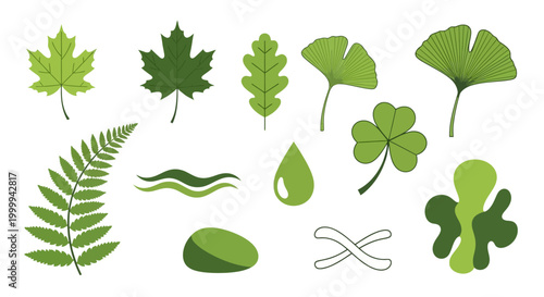 Collection of Green Leaves and Nature Elements