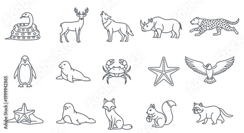 Set of linear animal icons including wild animals sea creatures and birds for graphic design projects.