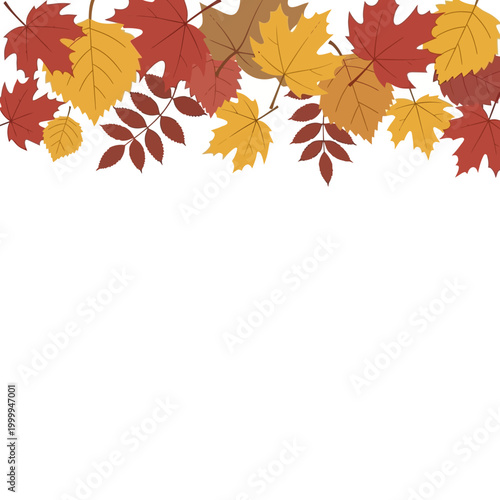 Autumn Leaves Border - Red, Yellow, Orange Fall Foliage on White Background