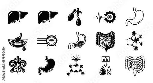 Human Organs Icons Graphic Signs for Medical Anatomical Design