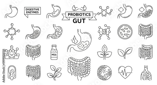 Probiotics and Gut Health Illustrated Icon Set for Digestive Wellness
