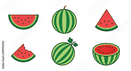 watermelon slices and whole fruit in colorful vector style