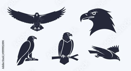 Collection of bird silhouettes flying perched.