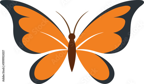 Orange butterfly with dark blue accents