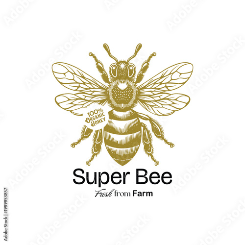 vintage-honey-bee-logo-design-with-hand-drawn-style 