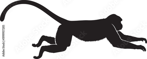 A set of monkey silhouettes on a white background. Perfect for designs about animals, nature, wildlife, primates, monkeys, apes, jungle, rainforest, conservation, and education