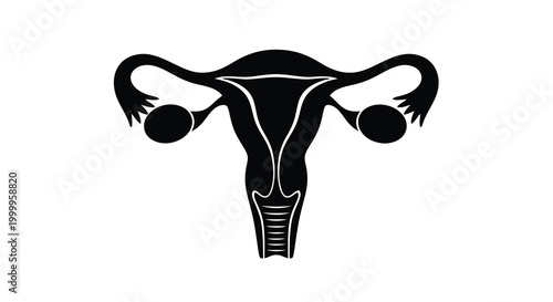 female reproductive system silhouette on white background