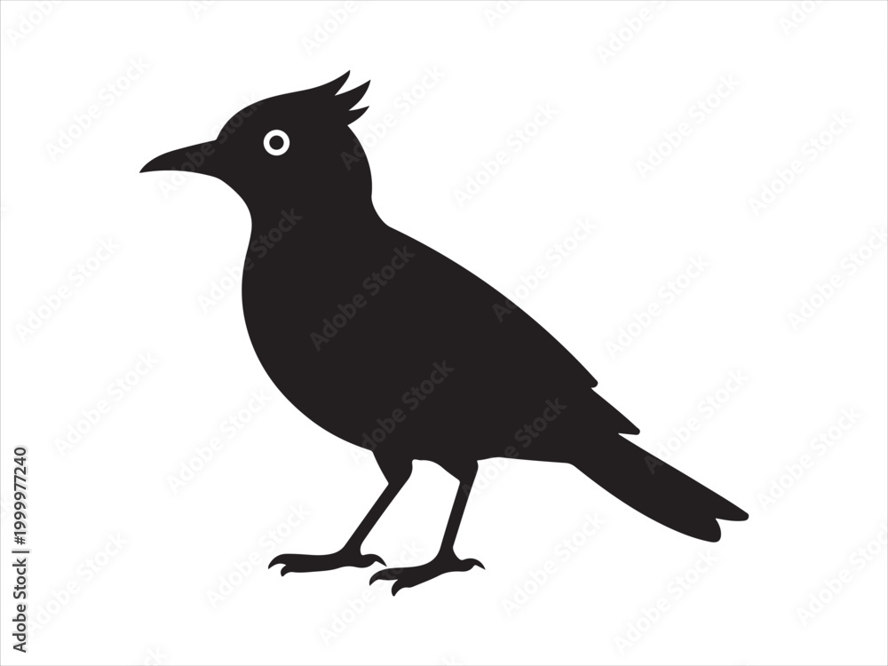 Fototapeta premium Black Bird Silhouette Icon Isolated on White Background