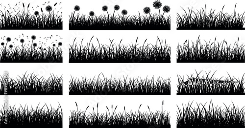 Grass and Flower Border Illustration Set with Silhouettes for Nature, Garden, and Landscape Designs