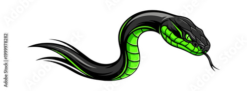 Stylized snake illustration on black background