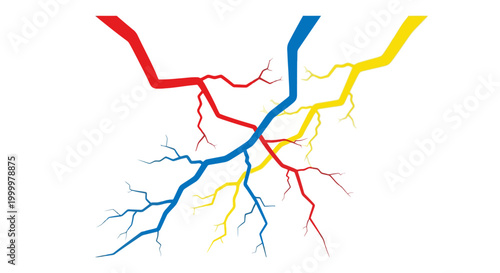 Colorful branching vessel network system.