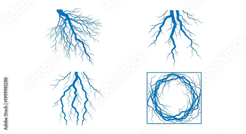 Blue veins on white background.