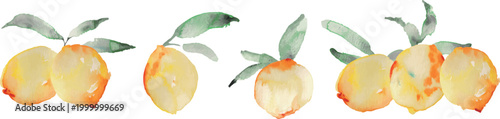 水彩画。水彩タッチのレモンイラスト。レモンの水彩ベクターイラストセット。Watercolor painting. Watercolor-style lemon illustration. Set of watercolor vector illustrations of lemons.