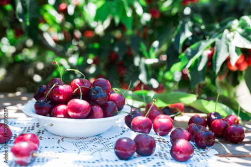 red currant berries in a glass bowl