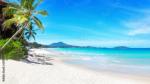 Sea beach landscape, paradise tropical island, beautiful exotic nature, turquoise ocean water, palm tree, white sand, summer holiday vacation travel, Chaweng beach, Koh Samui, Thailand, Southeast Asia