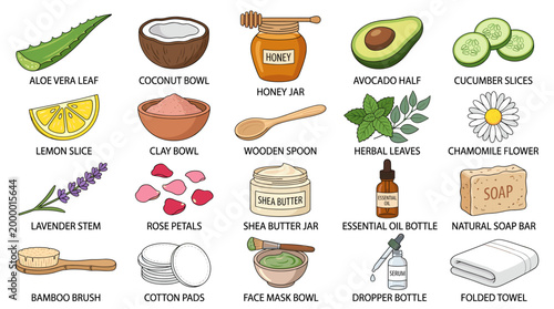 Natural skincare ingredients vector chart with aloe vera, coconut oil, honey, avocado, cucumber, clay, herbs, flowers, soap and spa beauty items