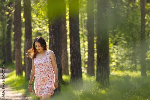 A young woman walking in the forest. An attractive woman walks between pine trees and looks down.