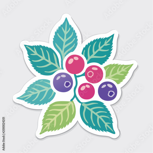 Stylized illustration of blueberries and raspberries with leaves