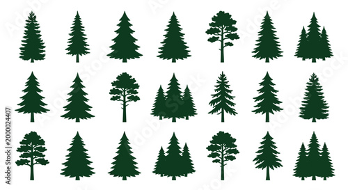Collection of green pine tree silhouettes on a white background