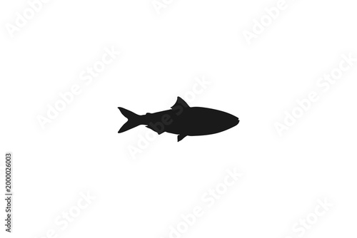 Swimming salmon fish silhouette for seafood or fishing industry