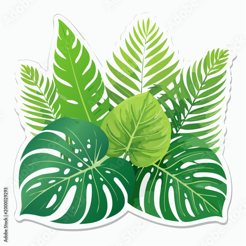 Tropical Leaves Illustration