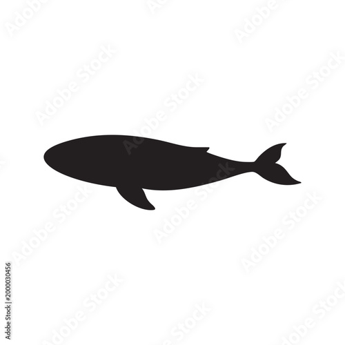 Animal Silhouette Vector Collection Isolated on White Background, Black Minimal Wildlife and Pet Illustration Set