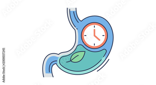 Healthy Stomach with Clock and Green Leaf Concept