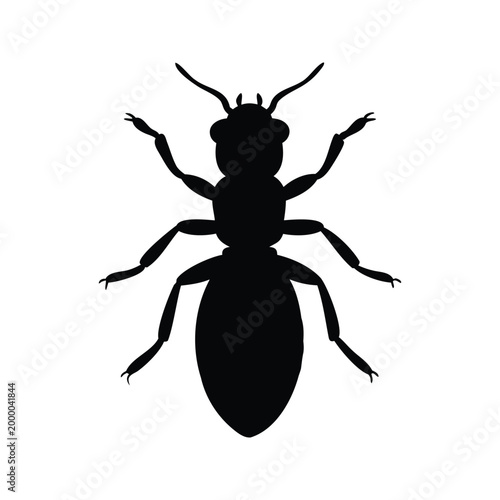 Photos Silhouette of termite insect isolated on white background vector illustration de