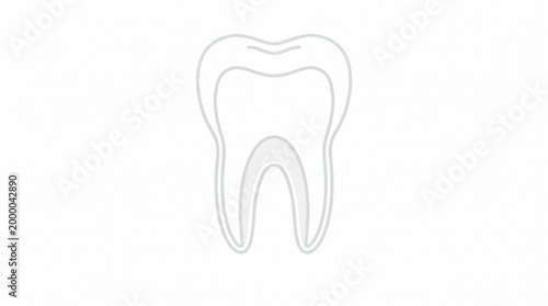 Human tooth anatomy cross section with enamel dentin and pulp layers