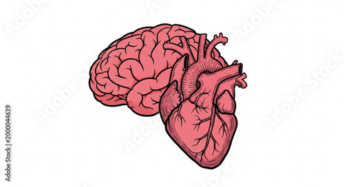 Human Brain and Heart Anatomy Illustration.
