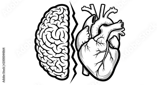 Human Brain and Heart Divided by a Crack Symbolizing Conflict.