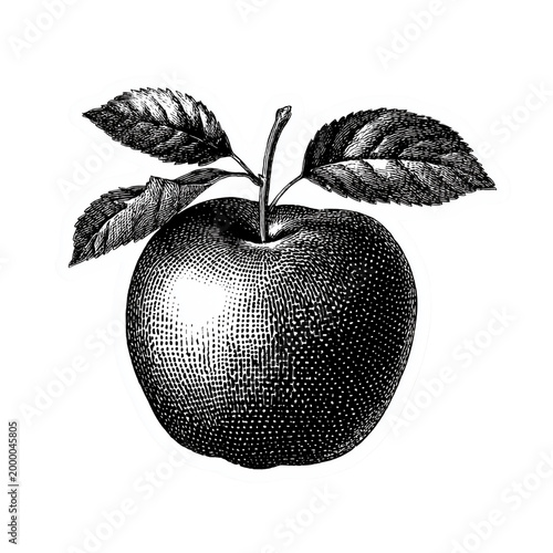 Black and White Apple Sticker Isolated on Transparent Background (PNG)