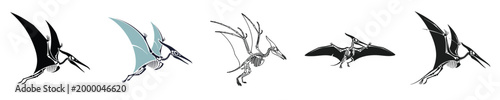 Pterodactyl Skeleton Set Flying Reptile Fossil Wings Collection Flat Vector Illustration